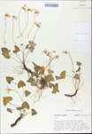 TTRS_000009729-thumbnail.jpg