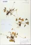 TTRS_000009730-thumbnail.jpg