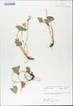 TTRS_000009736-thumbnail.jpg