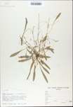 TTRS_000009737-thumbnail.jpg