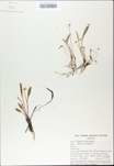 TTRS_000009738-thumbnail.jpg