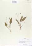 TTRS_000009743-thumbnail.jpg