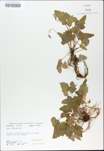 TTRS_000009744-thumbnail.jpg