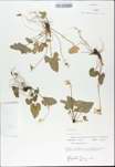 TTRS_000009745-thumbnail.jpg