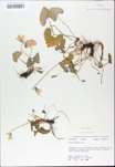 TTRS_000009746-thumbnail.jpg