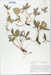 TTRS_000009748-thumbnail.jpg