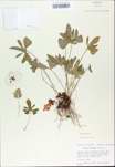 TTRS_000009752-thumbnail.jpg