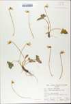TTRS_000009753-thumbnail.jpg