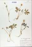 TTRS_000009754-thumbnail.jpg