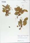 TTRS_000009757-thumbnail.jpg