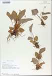 TTRS_000009758-thumbnail.jpg