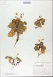 TTRS_000009759-thumbnail.jpg