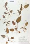 TTRS_000009760-thumbnail.jpg