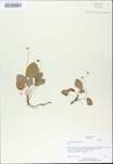 TTRS_000009764-thumbnail.jpg