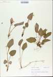 TTRS_000009765-thumbnail.jpg