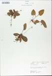 TTRS_000009766-thumbnail.jpg
