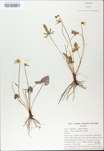 TTRS_000009768-thumbnail.jpg