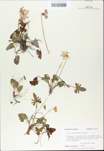 TTRS_000009769-thumbnail.jpg