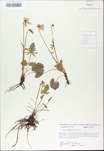 TTRS_000009771-thumbnail.jpg