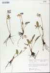 TTRS_000009772-thumbnail.jpg