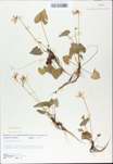 TTRS_000009777-thumbnail.jpg