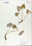 TTRS_000009778-thumbnail.jpg