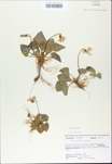 TTRS_000009780-thumbnail.jpg