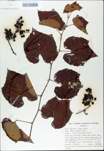 TTRS_000009798-thumbnail.jpg
