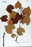 TTRS_000009802-thumbnail.jpg