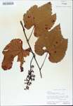 TTRS_000009804-thumbnail.jpg