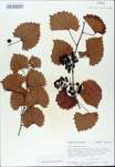TTRS_000009836-thumbnail.jpg