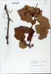 TTRS_000009854-thumbnail.jpg