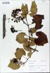 TTRS_000009857-thumbnail.jpg