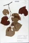 TTRS_000009861-thumbnail.jpg