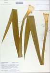 TTRS_000009902-thumbnail.jpg