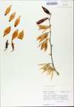 TTRS_000009908-thumbnail.jpg