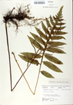 TTRS_000009960-thumbnail.jpg