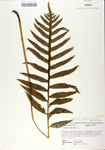 TTRS_000009963-thumbnail.jpg