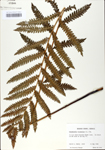 TTRS_000009967-thumbnail.jpg
