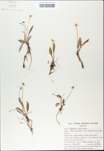 TTRS_000010436-thumbnail.jpg