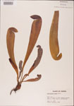 000000056-thumbnail.jpg