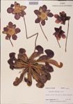 000000101-thumbnail.jpg