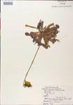 000000102-thumbnail.jpg