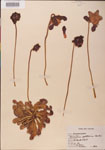 000000107-thumbnail.jpg