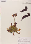 000000109-thumbnail.jpg