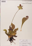 000000110-thumbnail.jpg