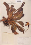 000000114-thumbnail.jpg