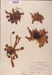 000000116-thumbnail.jpg