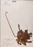 000000120-thumbnail.jpg