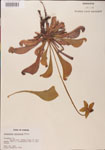 000000123-thumbnail.jpg